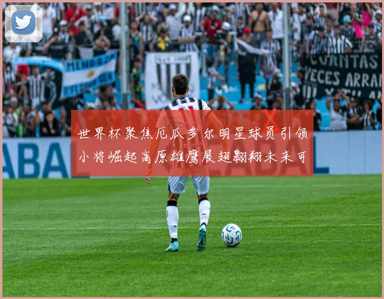 世界杯聚焦厄瓜多尔明星球员引领小将崛起高原雄鹰展翅翱翔未来可期